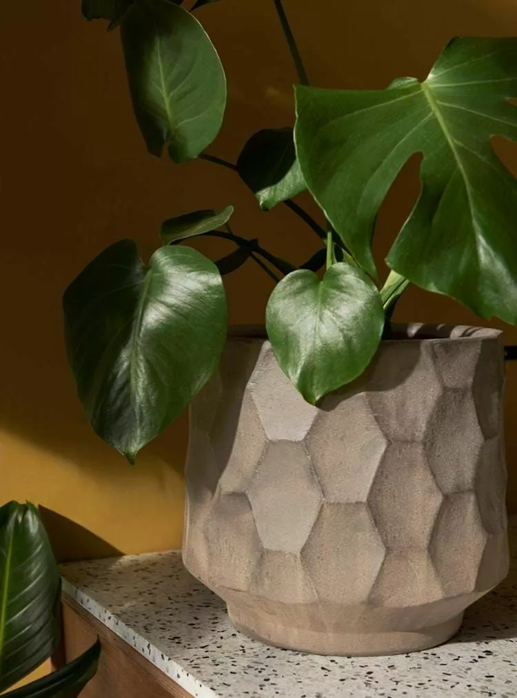 Kähler Gro Flowerpot-lock Ø21,5 Cm 6 Kähler Gro Flowerpot-lock Ø21,5 Cm - Bild 4