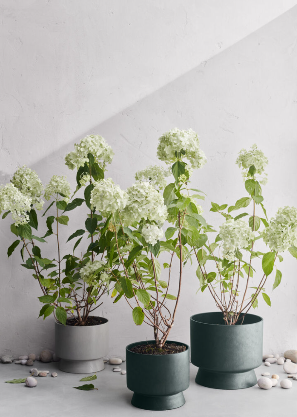 Rosendahl RO Blomsterpotte Resirkulert Grønn Ø30 Cm 4 Rosendahl RO Blomsterpotte Resirkulert Grønn Ø30 Cm - Bild 2