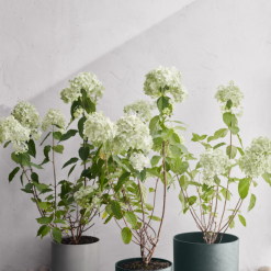 Rosendahl RO Blomsterpotte Resirkulert Sand Ø24 Cm 6 Rosendahl RO Blomsterpotte Resirkulert Sand Ø24 Cm -hemma butik 2023 2022 02 04 13 52 42