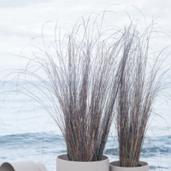 Rosendahl RO Blomsterpotte Resirkulert Sand Ø30 Cm -hemma butik 2023 2022 02 04 13 53 24 1