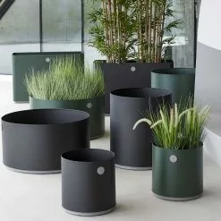 Cane-line Grow Växtlåda Medium -hemma butik 2023 5771adgt 5771ali 5772adgt 5772ali 5773adgt 5773ali 5774adgt 5774ali 1575423981