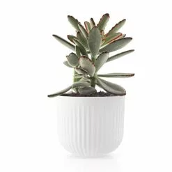 Eva Solo Legio Nova Flower Pot Cover Porslin Small