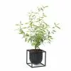 By Lassen Kubus Flowerpot 14cm Black -hemma butik 2023 bylassen kubus flowerpot 14 black plant