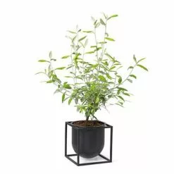 By Lassen Kubus Flowerpot 14cm Black
