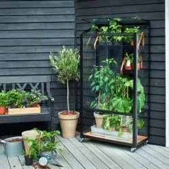 Juliana Urban Greenhouse City Greenhouse Härdat Glas Svart 0,32 M² -hemma butik 2023 f09673 citygreenhouse 5701701096730 43 mani