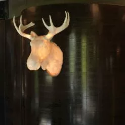 Northern Moo Vägglampa -hemma butik 2023 moo on wall low res photo damian heinisch