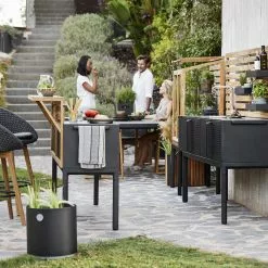 Cane-line Teakstång För Drop-kök -hemma butik 2023 oiuhasfhj23123